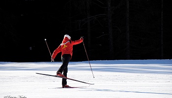 Cross-Country Skiing