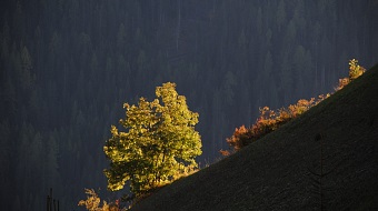 Alta Badia Herbst La Val
