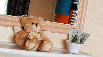 Teddy Bagno