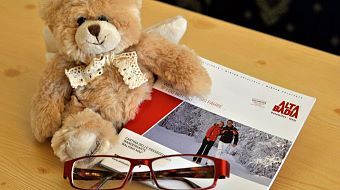 Teddy mit Brille 2